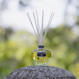 giardinodiboboliambientata