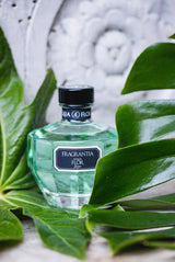 diffusore_ambiente_bastoncini