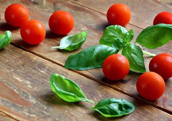 Foglia di pomodoro e basilico