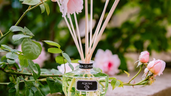 Come usare correttamente i profumatori ambiente con i bastoncini