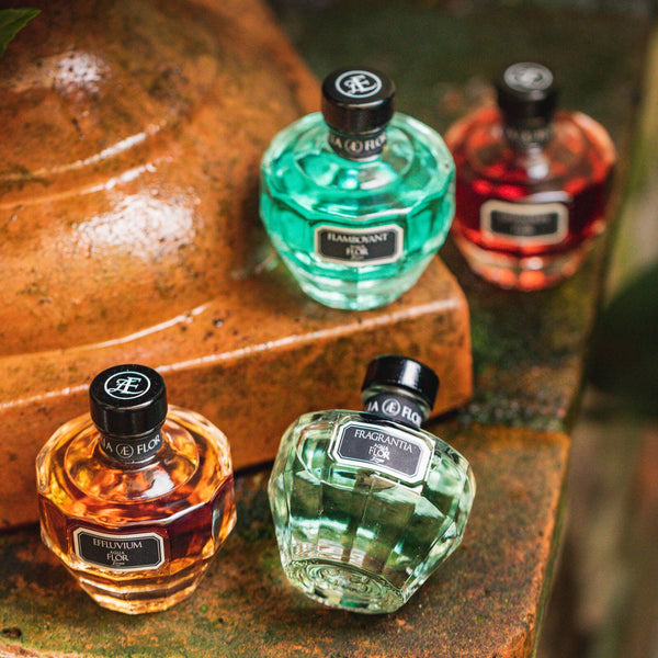 Le Quattro Stagioni Collection