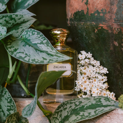 Profumo al Limone Profumo agrumi | Zagaria Aquaflor